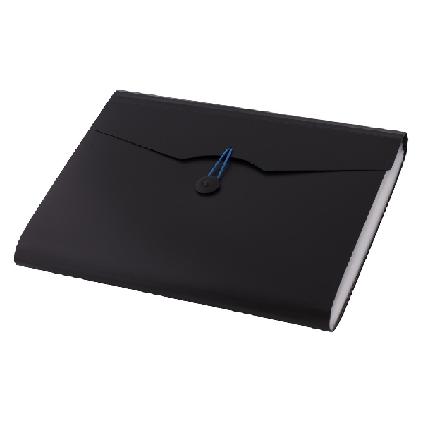 Obrazek TECZKA D.RECT 5580 12 PRZEGRÓDEK A4 CZARNA