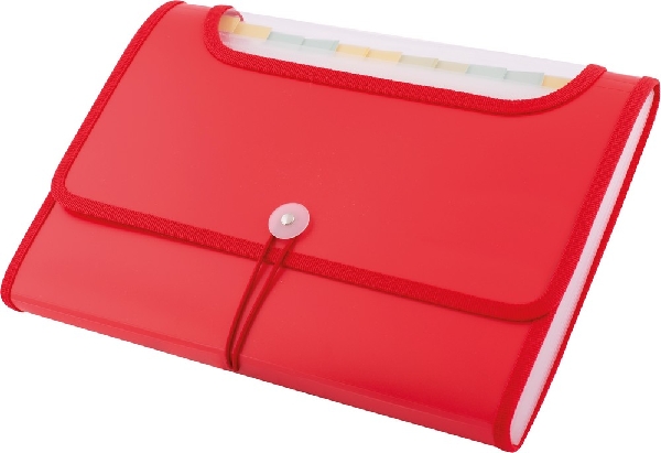 Obrazek TECZKA D.RECT A4 5590 12 PRZEGRÓDEK CZERWONA