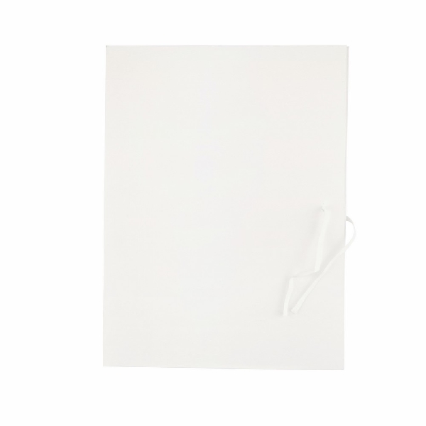 Picture of PAPER ACTION FILE D.RECT 250g WHITE 25pcs