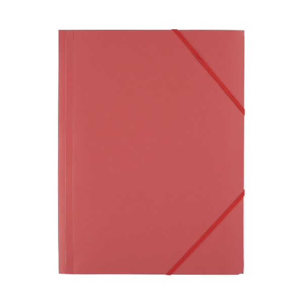 Obrazek TECZKA D.RECT PLASTIKOWA Z GUMKĄ CZERWONA 6szt